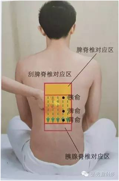 https://mmbiz.qpic.cn/mmbiz_jpg/j5F4dSIbD0BLpsLGWcHfic0kLuicsJbdsBOtncle7nsAQb4LvD1EahB44OB6PVYMUeaQYH1LlQHBia4ZLVWxmhHaA/640?wx_fmt=jpeg&tp=webp&wxfrom=5&wx_lazy=1